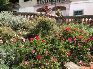 a garden with pink flowers in front of a house at Villa Baronzola in Montevarchi