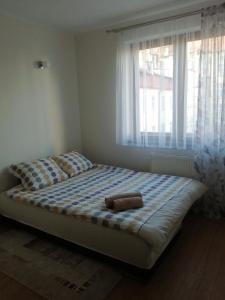 Fotografia z galérie ubytovania Apartament Słoneczny v destinácii Ełk