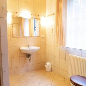 a bathroom with a sink and a toilet at Chata Jaga in Szklarska Poręba