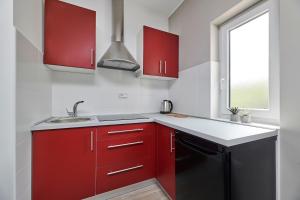 Kuchyň nebo kuchyňský kout v ubytování Villa Dvori