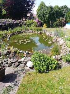 a pond in the middle of a garden at Meyers Ferienwohnung in Elmlohe