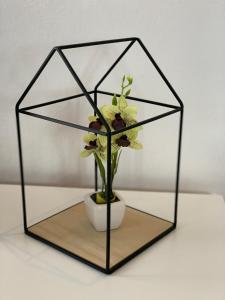a glass box with a vase with flowers in it at Apartments Ema in Sali
