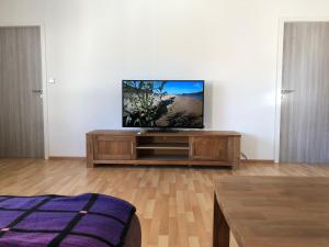 uma sala de estar com uma televisão de ecrã plano num centro de entretenimento em Fewo Belinda, Tiengen Zentrum em Waldshut-Tiengen