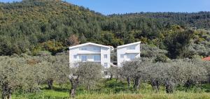 a large white house on a hill with trees at Harmony Thassos suites & Apartments in Skala Rachoniou