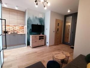 Televízia a/alebo spoločenská miestnosť v ubytovaní Apartament Bojary