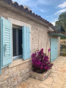 una finestra con persiane blu e fiori sul lato di una casa di Vila Majda a Vabriga