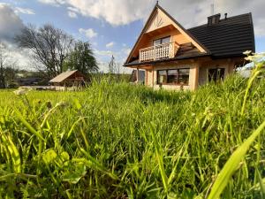 a house in the middle of a field of grass at Domek u Andrzeja in Ciche