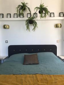 een slaapkamer met een bed met 2 potplanten bij La loge 45 AU COEUR DU CENTRE HISTORIQUE DE RODEZ in Rodez