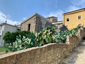 a retaining wall with plants in front of a building at B&B Il Lentisco in Camerota