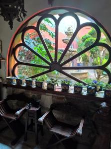 a window with potted plants sitting on a mantle at Casa Azul in Guanajuato