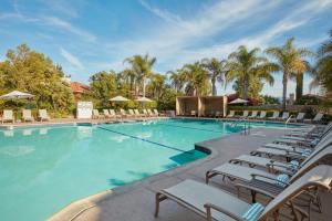 a large swimming pool with lounge chairs and palm trees at South Coast Winery Resort & Spa in Temecula