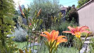 a garden with flowers and plants in a yard at Eclats du Sud in Auriol