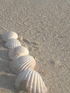 Gambar di galeri bagi Piccola residenza marina di Sant'Isidoro