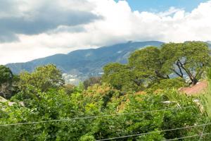 a view of a forest with mountains in the background at Choose To Be Happy at Seymour # 9 and #16 - Studio Apartments in Kingston