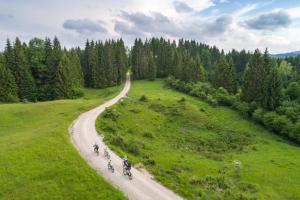 Foto dalla galleria di Hostel Bearlog Kočevje a Kočevje
