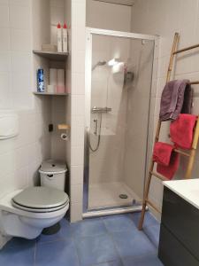 a bathroom with a toilet and a glass shower at Le gite de Coco in Riquewihr