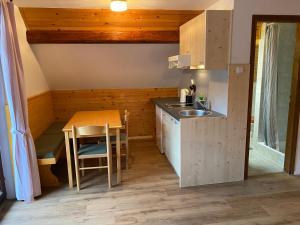 Kuchyň nebo kuchyňský kout v ubytování Hiša Planšar Bohinj accommodations + 35 fotografií