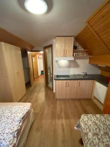 Kuchyň nebo kuchyňský kout v ubytování Hiša Planšar Bohinj accommodations