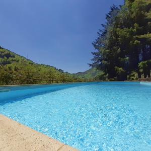 une grande piscine d'eau bleue avec des arbres en arrière-plan dans l'établissement Il Bosco di Campo Marzano Garden Apartments, à Borzonasca
