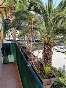 Alcazaba Home, Málaga – Bijgewerkte prijzen 2022