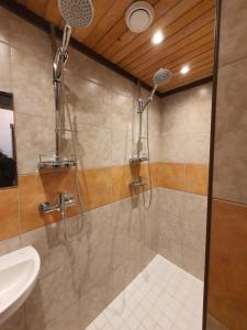 un bagno con doccia, lavandino e WC di Gabriel a Maardu