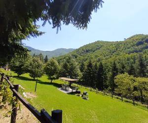 Príroda v okolí dovolenkového domu