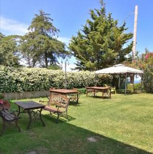 two picnic tables and an umbrella in a yard at Monica appartamenti in San Vincenzo