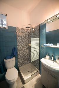 a bathroom with a shower and a toilet and a sink at Vithos in Agnontas