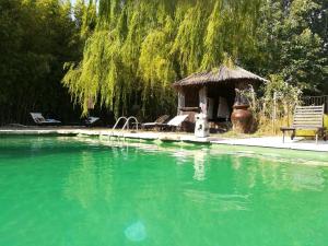 The swimming pool at or close to Le Mas de la Chouette