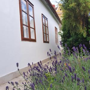 dom z fioletowymi kwiatami przed nim w obiekcie Corte Apartman w mieście Pápa