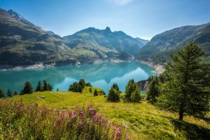 a view of a lake in the mountains at Chalet Opale in Tignes