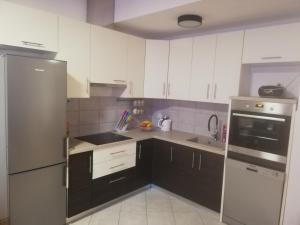 Kuchyň nebo kuchyňský kout v ubytování Studio Apartment Lea