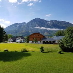 a house in a field with a mountain in the background at Apartment Dachsteinblick in Bad Aussee