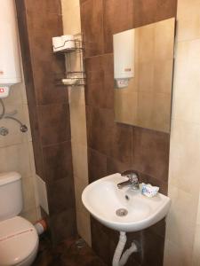 een badkamer met een wastafel en een toilet bij Radi Inn in Svilengrad