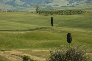 Paisaje cerca de este agroturismo