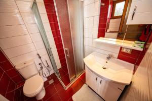 a bathroom with a toilet and a sink and a shower at Guest House Luiza in Borsh +18 photos