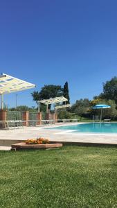 a swimming pool with a bunch of flowers in the grass at Agriturismo Casale Giulia in Volterra
