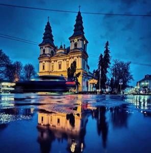 Un edificio con dos torres con un reflejo en el agua. en TOPILCHE APARTMENT, en Ternopilʼ