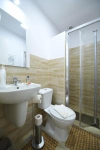 een badkamer met een toilet, een wastafel en een douche bij Casa Mirandre in Haţeg