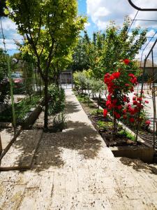 Zahrada ubytování Brize Guest House