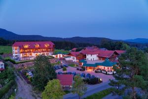 eine Luftansicht eines großen Hauses mit Hof in der Unterkunft Wellness & Naturhotel Tonihof in Langdorf