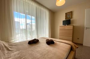 a bedroom with a large bed with a large window at Cozy Apartment & Parking next to St Sophia Hospital in Sofia
