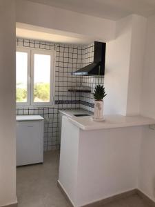 a white kitchen with a plant on the counter at Apartamentos Vista Vedrá in La Savina