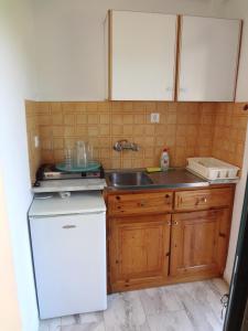 a kitchen with a white refrigerator and a sink at Lazaris Apartments in Agios Ioannis Lefkada in Lefkada