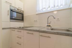 Kuchyň nebo kuchyňský kout v ubytování Apartments Tolic