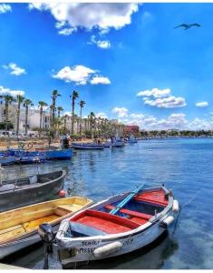 a boat is docked on a river with palm trees at Casa di Roberto in Porto Cesareo