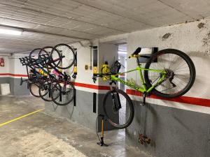 Jízda na kole v ubytování Apartaments Sant Antoni nebo okolí