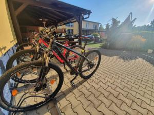 Jazda na bicykli v okolí ubytovania Hotel Za Vodou