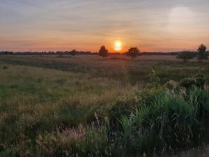 een grasveld met de zonsondergang op de achtergrond bij De Vliegende Vlinder in Nederweert