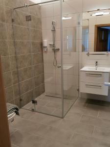Łazienka w obiekcie Apartamenty Stajnia Ojcowizna